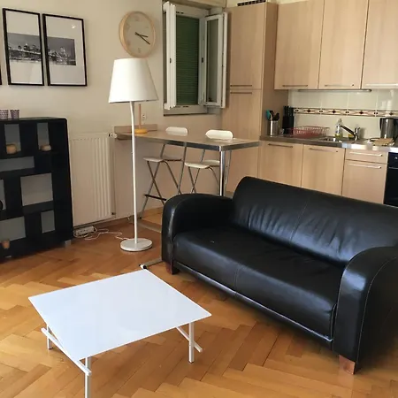 Avec Une Vue Magnifique Sur Le Lac Appartement Lausanne